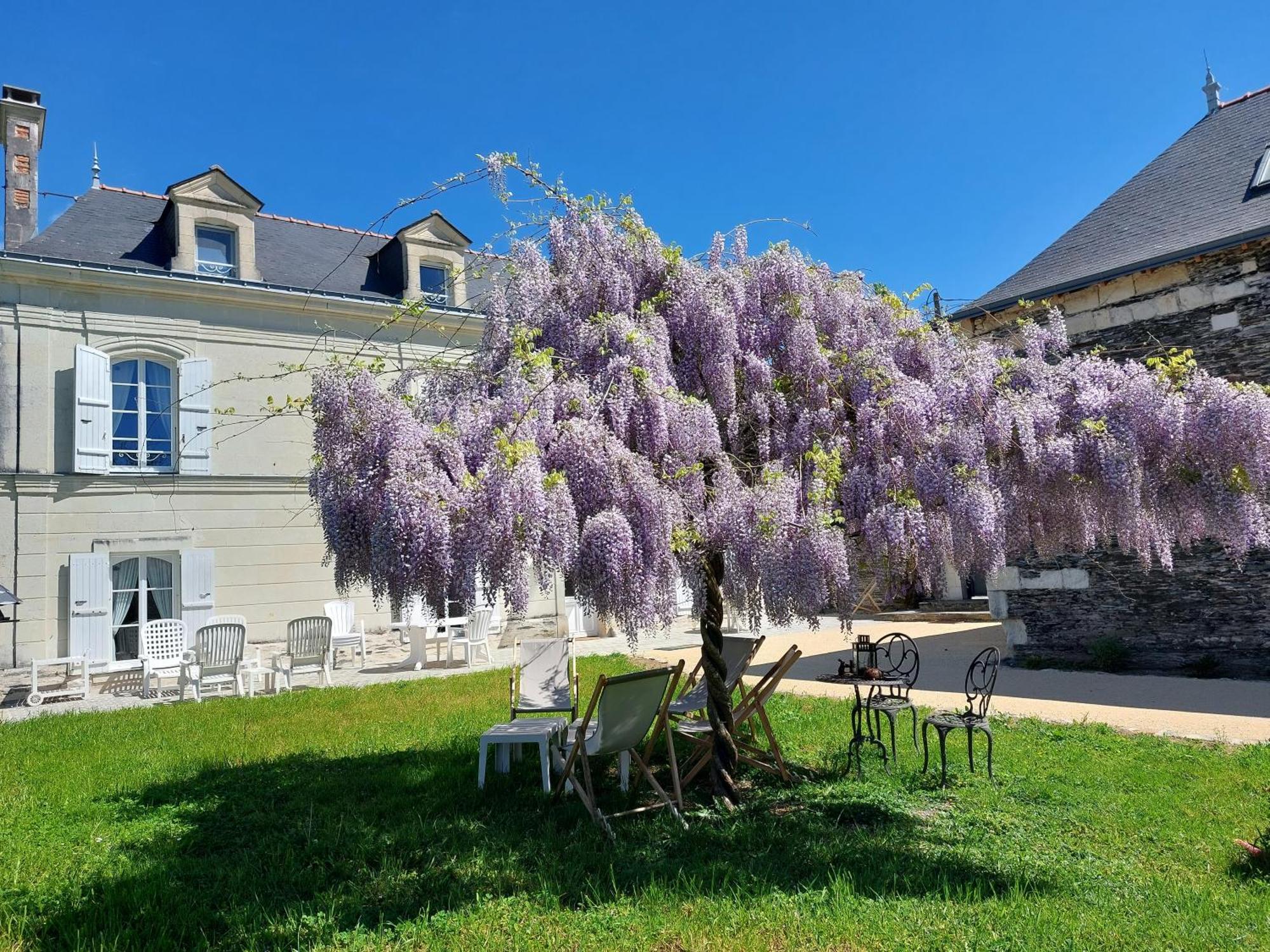 La Bohal' Loire Lägenhet La Bohalle Exteriör bild